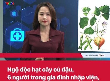 Clip Ngộ Độc khi ăn hạt cây củ đậu 6 người nhập viện, Hạt cây củ đậu có độc không, Hạt cây củ đậu có ăn được không, Clip đời sống, Clip Đời Sống Du Lịch, Clip tin tức