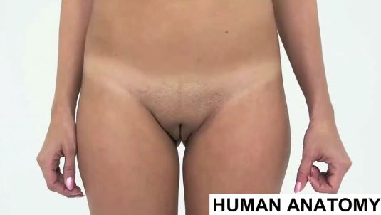 Clip Human Anatomy, Clip gái xinh một con bướm đẹp, Clip tạo hình bướm con gái, Clip gái xinh nói về mùi vị bướm con gái, Clip gái xinh nói về bướm con gái, Clip con gái móc bím thủ dâm, Clip con gái cạo lông bím, Clip bím con gái, Clip Pelvic Area Visual Examination, Clip educate everyone on the female human body, Bộ phận sinh dục con gái
