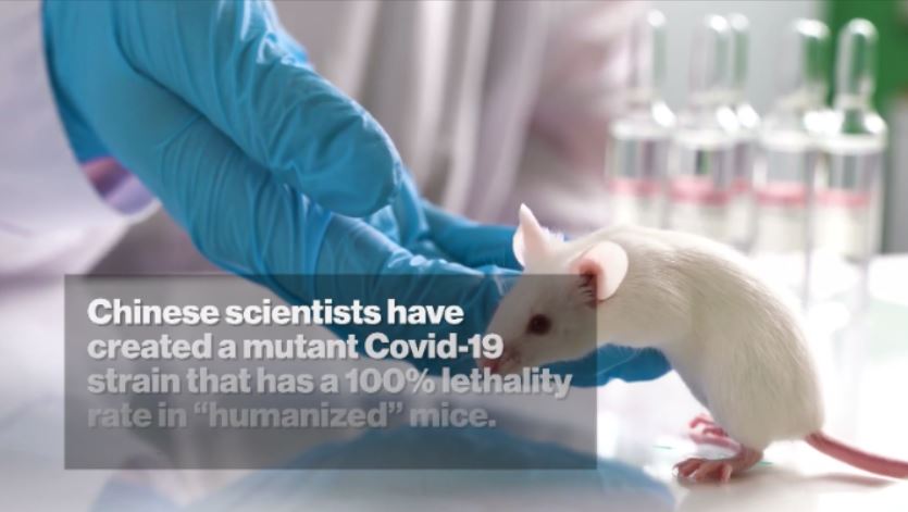 HOT VIDEO Chinese lab crafts mutant COVID-19 strain with 100% kill rate in humanized mice, Chinas Wuhan Institute of Virology, Chinese lab crafts mutant COVID-19 new, New groundbreaking research on covid 19, Video clip New groundbreaking research on covid 19, SARS-CoV-2-related viruses, GX_P2V into humans, What is GX_P2V, US news today, Shock news today, Today news Video, US today news, Post news hot today, Hot news today, News hot today, Latest today news video, Hot news today on the world, US news video today