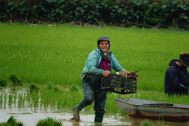 Người đông con nhất Hà Nội, Người mẹ nhiều con nhất Hà Nội, Người mẹ có tới 14 người con ở Hà Nội, Người mẹ có 14 người con ở Hà Nội, Người mẹ sinh 14 người con ở Hà Nội, Bà Đặng Thị Hải người sinh 14 người con ở Hà Nội, Tin tức đời sống, Clip đời sống, Clip tin tức, Ai là người đông con nhất Việt Nam, Người mẹ sinh nhiều con nhất ở Việt Nam