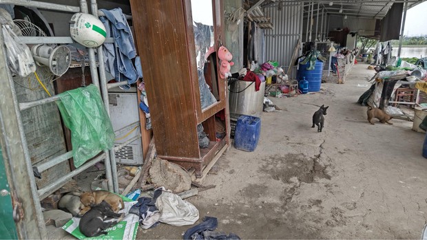 Người đông con nhất Hà Nội, Người mẹ nhiều con nhất Hà Nội, Người mẹ có tới 14 người con ở Hà Nội, Người mẹ có 14 người con ở Hà Nội, Người mẹ sinh 14 người con ở Hà Nội, Bà Đặng Thị Hải người sinh 14 người con ở Hà Nội, Tin tức đời sống, Clip đời sống, Clip tin tức, Ai là người đông con nhất Việt Nam, Người mẹ sinh nhiều con nhất ở Việt Nam