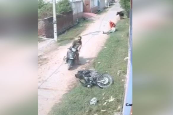 Clip đối tượng đánh nữ sinh dã man sau khi gây tai nạn giao thông, Clip tai nạn giao thông, Clip bắt đối tượng Lê Tấn Thành đánh nữ sinh dã man sau va chạm giao thông, Full clip 3 cảnh sát giao thông đánh người vi phạm, Clip đối tượng đấm đá nữ sinh sau va chạm giao thông, Video clip giao thông, Clip đối tượng hành hung dã man nữ sinh sau va chạm giao thông, Clip nữ sinh bị đánh dã man sau va chạm giao thông, Tin tức giao thông, Chú chó đi quanh thành phố một mình bằng phương tiện giao thông công cộng, Clip đánh ghen lột đồ kinh hoàng, Clip đánh ghen lột đồ lộ ti, Clip đánh ghen lột đồ trong nhà nghỉ, Clip đánh ghen lột đồ lộ vú, Clip đánh ghen lột đồ ở Bắc Ninh, Clip đánh ghen lột đồ trần truồng giữa đường, Clip đánh ghen lột đồ trên phố, Clip đánh ghen lột đồ, Clip gái xinh bị đánh ghen lột đồ trong nhà nghỉ, Clip đánh ghen lột đồ trong khách sạn