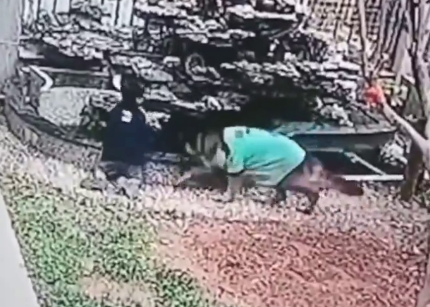 The Smartest Dog in the world, Smartest dog, Video The Smartest Dog in the world, Clip The Smartest Dog in the world, Video clip smartest dog, The dog prevents the boy from getting close to the water tank, The smartest beagle dog on the planet, The dog owner saves the boy from drowning, Chú chó ngăn không cho cậu bé tiến sát bể nước, Chú chó becgie thông minh nhất hành tinh, Chủ chó cứu cậu bé khỏi bị chết đuối, Clip chú chó ngăn không cho cậu bé tiến sát bể nước, Clip chú chó lấy vợt khều quả bóng dưới nước giúp cậu bé, Funny animals cute clip, Clip động vật thông minh, Clip động vật hài hước, Try not laugh funny baby animals, Funny animals cute video